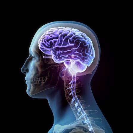 Best Brain and Spine Specialist in Chembur